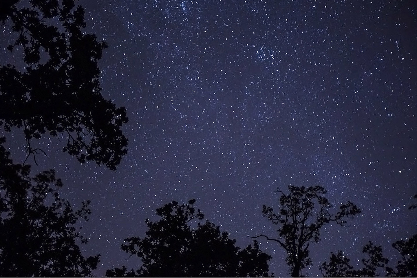 Starry Night Timelapse